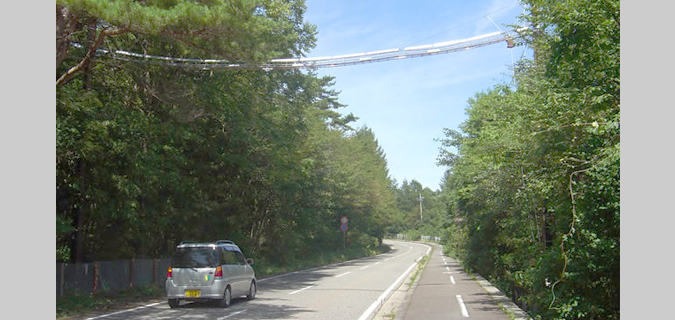 アニマルパスウェイ