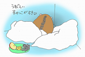 捕獲されたヤマネ