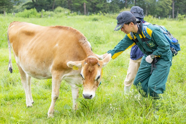 ふれあい＆集牧体験