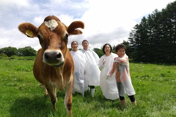 ふれあい＆集牧体験