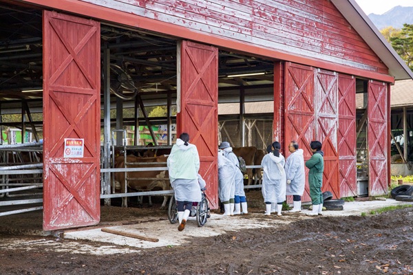 ふれあい＆集牧体験