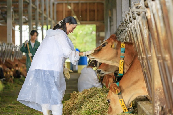 ふれあい＆集牧体験
