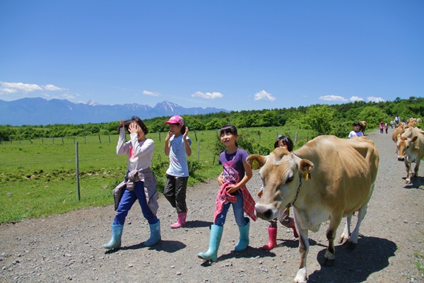 ふれあい＆集牧体験